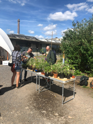 Les membres du groupe s’échangent des plants pour leur potager en permaculture