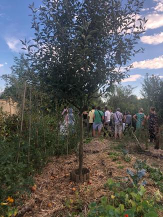 Les membres de la communauté se regroupent dans un jardin en permaculture