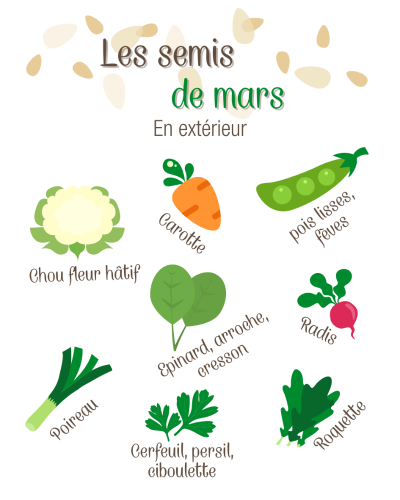 Résumer des légumes à semer en mars au potager