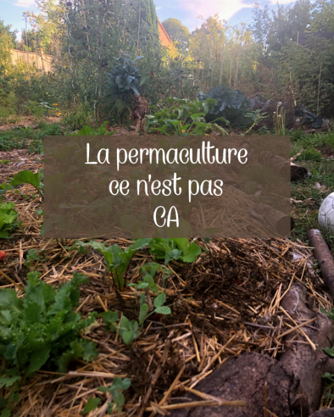 Butte de culture, avec un texte : la permaculture, ce n’est pas ça.