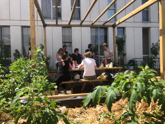 Le groupe déjeune sur une terrasse aménagée en permaculture