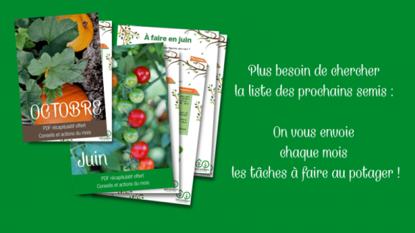 newsletter-potager-chaque-mois-1.png