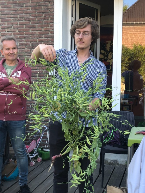 Louis nous présente des radis gousses pour optimiser les récoltes en juillet