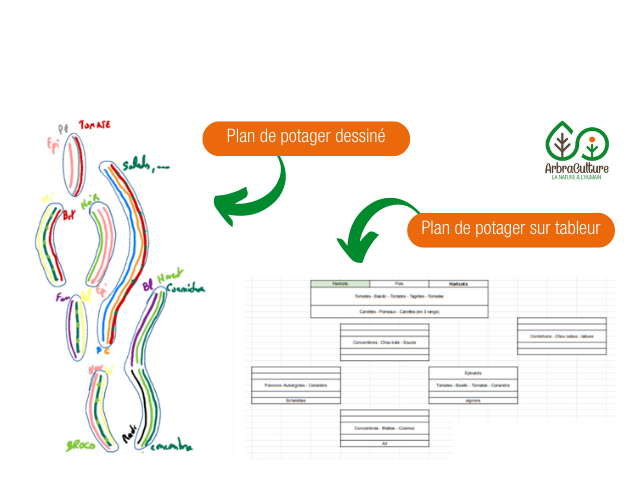 plan-de-potager-exemple.png