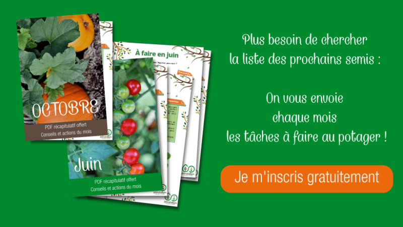 newsletter-potager-chaque-mois-bouton.png