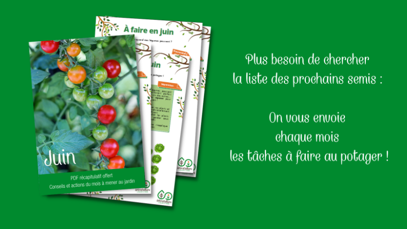 Un exemple de PDF mensuel des actions à faire au potager. A droite, une phrase écrite : plus besoin de chercher la liste des prochains semis... On vous envoie chaque mois les tâches à faire au potager ! 