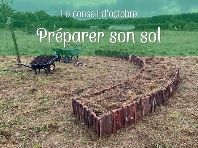 Potager permaculture en octobre : les actions du mois