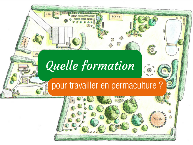 Devenir permaculteur : quelle formation choisir ? 