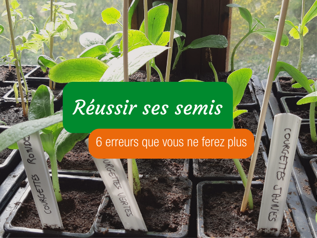 Conseils pour les Semis : 6 erreurs à éviter 