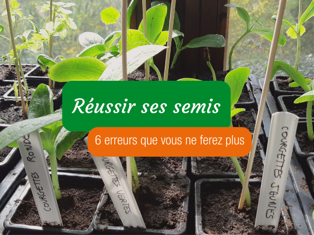 Les outils indispensables pour semer en pleine terre