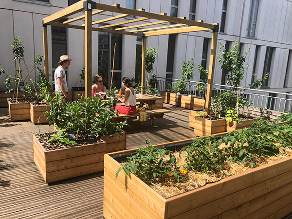 Terrasse aménagée en permaculture à Lille